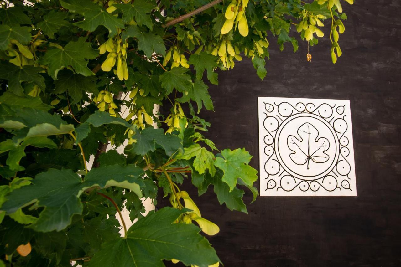 Agriturismo Podere Coldifico Sassoferrato Luaran gambar