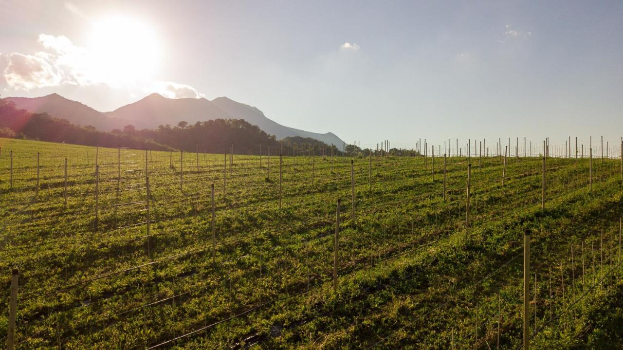 Agriturismo Podere Coldifico Sassoferrato Luaran gambar